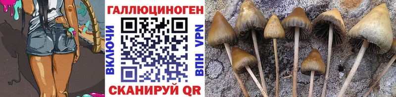 Псилоцибиновые грибы Psilocybe  Свирск 